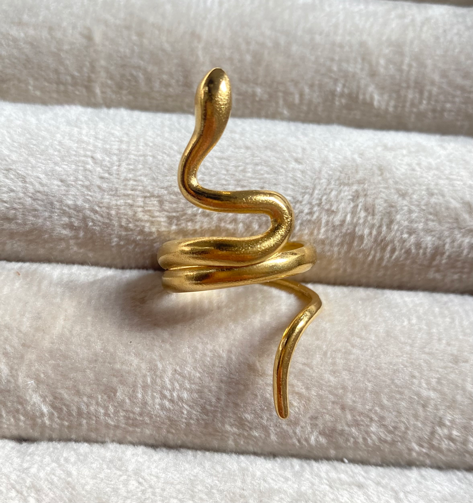 12201 Ring